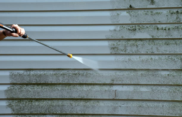 Animal Enclosure Cleaning in Slaughterville, OK